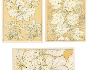 vintage leaves plants botanical illustrations 4 x 6 inch printable wall art collage sheet digital prints instant download art