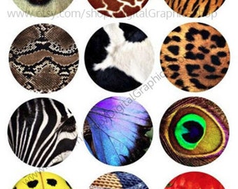 animals skin patterns, feathers, bug wings, textures, clipart, digital print, instant download, collage sheet 2.5" circles, jewelry images