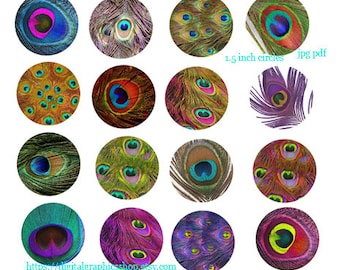peacock feathers collage sheet, 1.5 inch circles, clipart, digital print download