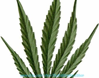 marijuana, pot leaf, cannabis leaves, printable art, clipart png, instant download, digital prints, plant images
