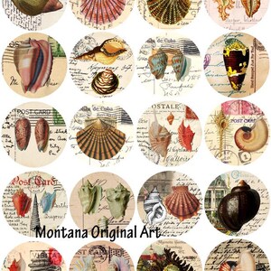 Cartoline di conchiglie marine, collage di arte alterata, cerchi da 2 pollici, clipart digitali scaricabili, spiaggia, oceano, vita marina, immagini stampabili per il fai da te