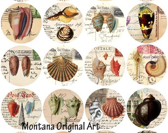 1" to 3" Circle images