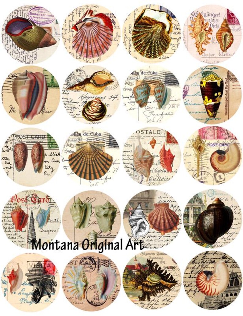 Shell Paper Collage Sea Shells Postcards Altered Art Collage Sheet 2 Inch Circles Clipart ...