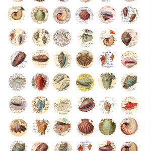 vintage birds eggs nests, sea shells animals postcard clipart instant download digital print collage sheet 1&quot; inch circles