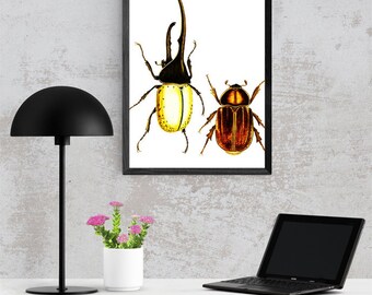 beetles bugs colored Illustration art download digital vintage image graphics collage sheet printable insect nature artwork