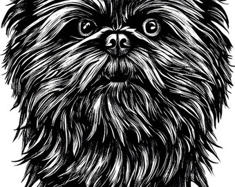 Affenpinscher face png printable wall art pure breed dog clipart, jpg digital instant download, animals, pets, pedigrees, canines