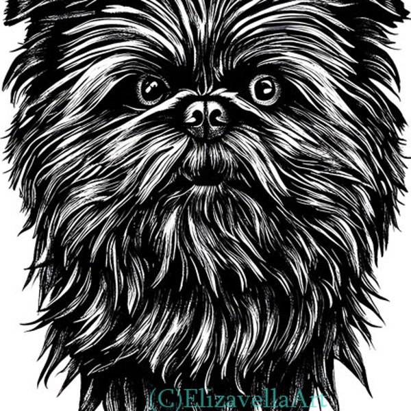 Affenpinscher face png printable wall art pure breed dog clipart, jpg digital instant download, animals, pets, pedigrees, canines