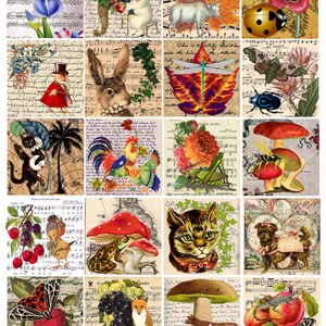 Insekten, Pflanzen, Tiere Kunst, digitale Collage Blatt 2 "Quadrate Musiknoten Natur Clipart Digitaldruck download"