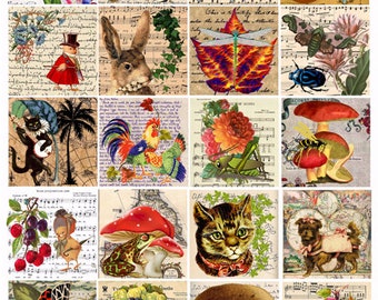 animals art, insects, plants, digital collage sheet 2" squares sheet music nature clipart digital print download