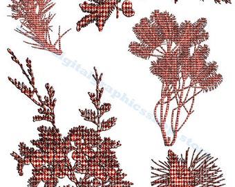 red harlequin trees, collage sheet, plants, garden, png jpg clipart, printable wall art instant download, digital print