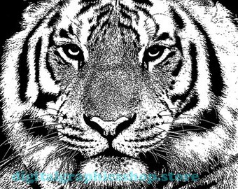 jungle tiger head png jpg clipart printable art digital print instant download animals safari black and white art