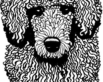 Poodle dog face png, dog clipart, jpg, printable wall art, digital instant download, animals, pets, pedigrees, dog breeds, canines