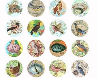 birds eggs vintage maps clip art digital download collage sheet 1.5 inch circles graphics images craft printables