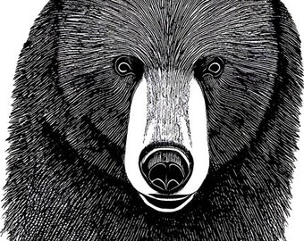 black bear head illustration png overlay jpg clipart printable art forest animals digital instant download graphics images