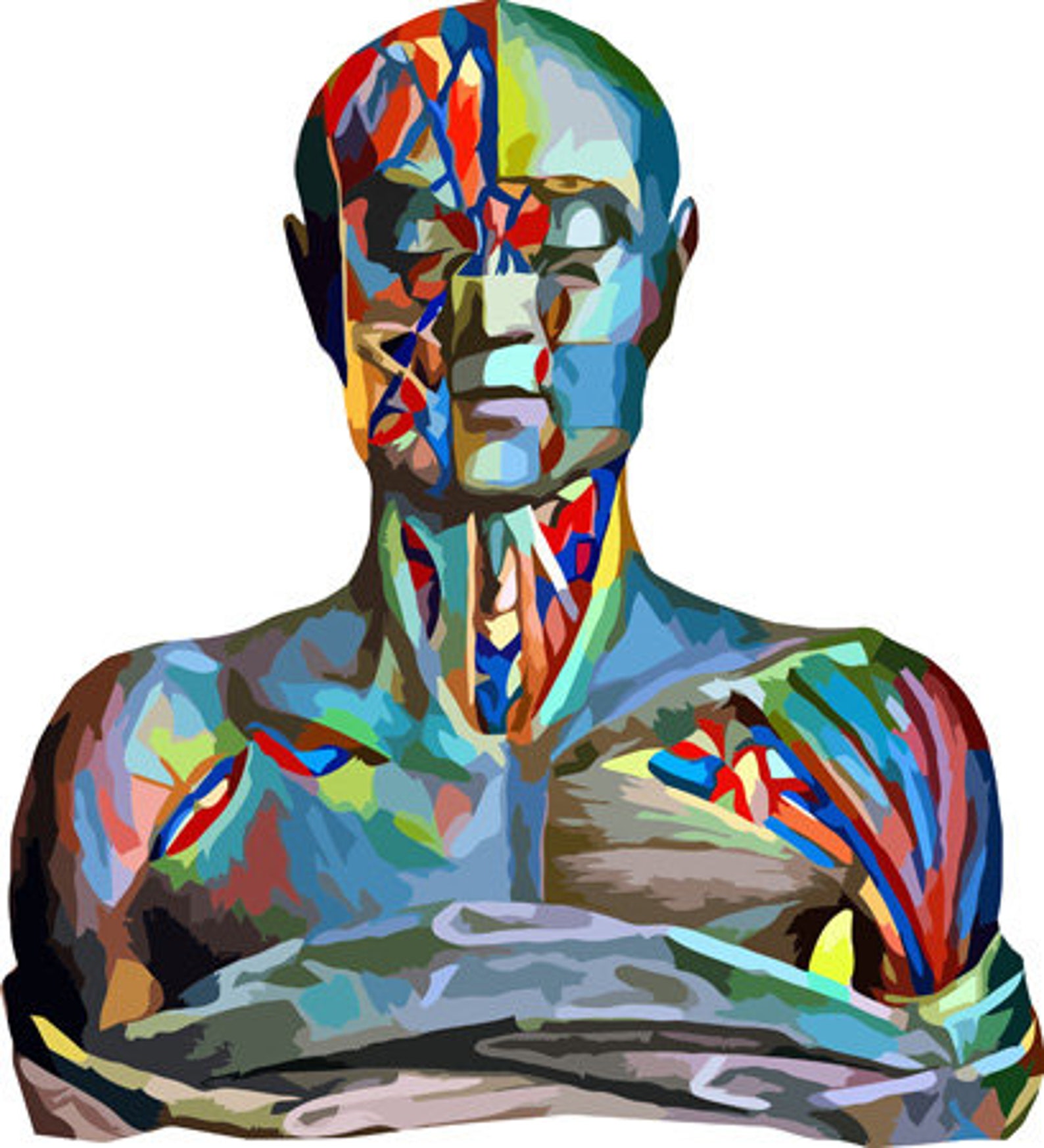 Abstract human anatomy muscle woman body parts clipart png jpg | Etsy