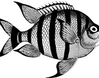 angel fish clipart png jpg icon printable art digital download die cuts wildlife nature sealife graphics images black and white