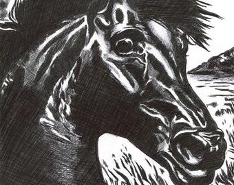 black stallion horse ink drawing, original art outsider folk animal nature by Elizavella