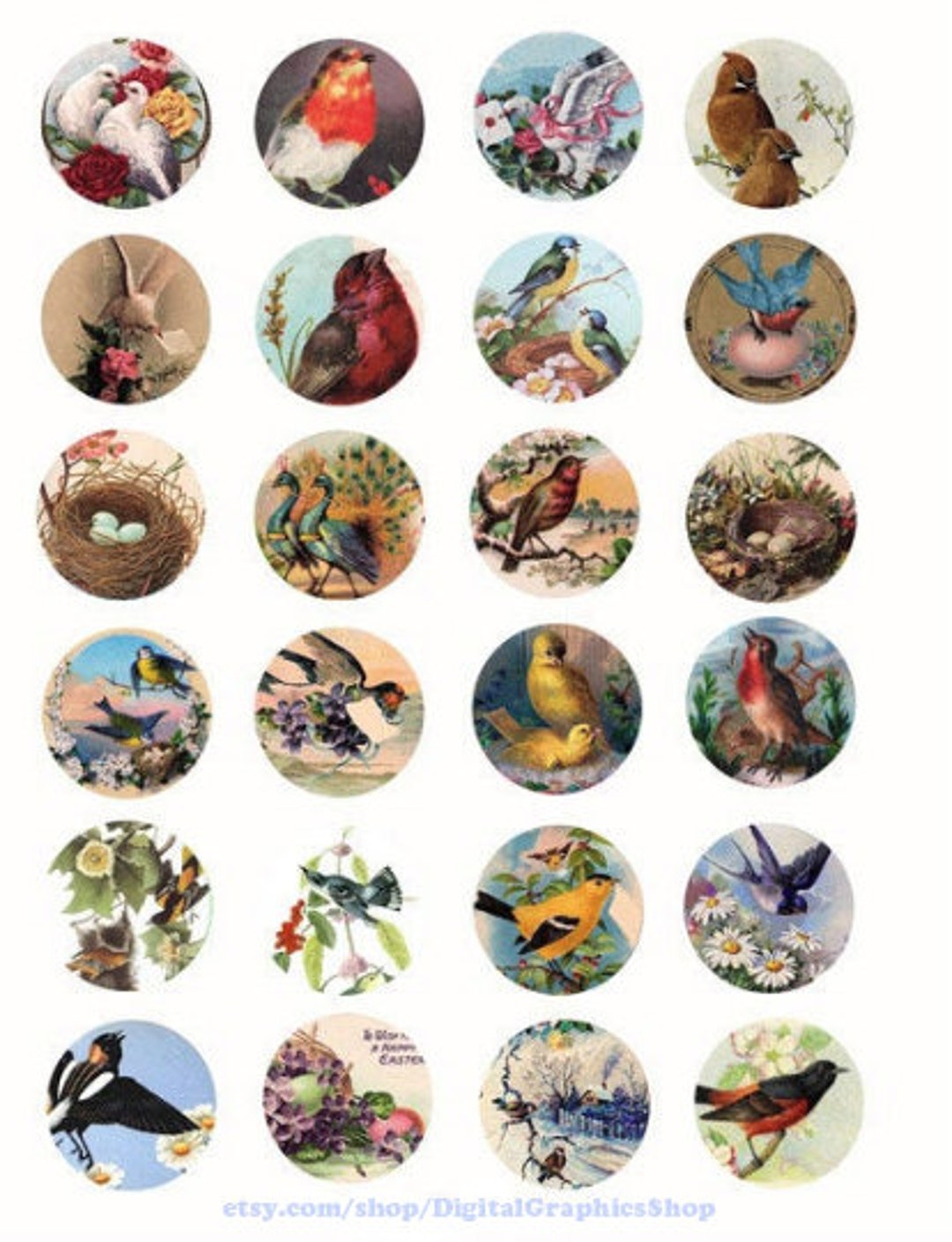 Vintage Birds Eggs Art Digital Collage Sheet 1.5 Inch Circles Flowers ...