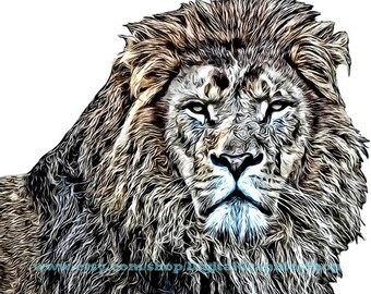 abstract lion head, lion png, jpg clipart, printable art, digital print, instant download, animals safari, king of the jungle