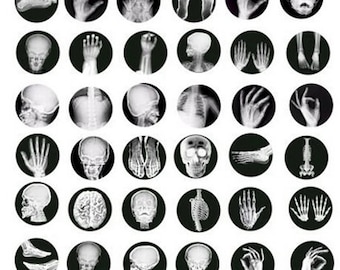 human anatomy skeleton xray pictures collage sheet 1 inch circles clipart digital downloadable medical science x rays printable images