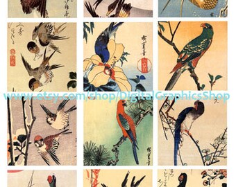 bird watercolor paintings collage sheet 2.5 inch squares vintage japan art, clipart, digital instant download printable