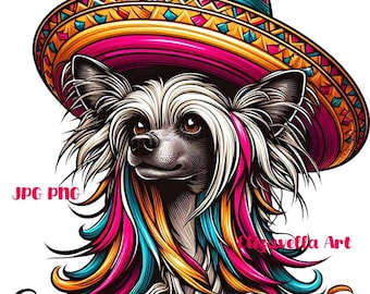 Mexican long hair chihuahua dog wearing sombrero hat png clipart pets cute animal art jpg png printable COLOR ILLUSTRATION digital download