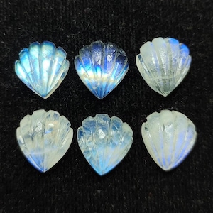 Cabochon a conchiglia in pietra di luna arcobaleno intagliato a mano da 13 mm, Mermaid Flatback Supply