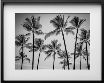 Palm Trees Black & White Photo Print, Tropical Landscape Wall Art, Fine Art California Photography, Nature Decor, Florida Digital Download