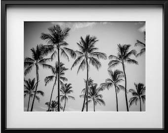 Tropical Palm Trees Black & White Print, Landscape Wall Art, Photo Fine Art California Photography, Nature Decor, Florida Digital Download