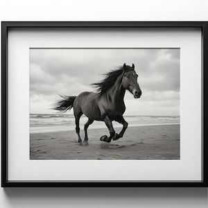 May include: Black and white framed photograph of a horse galloping on a beach. The horse is dark, with its mane and tail flowing in the wind. The photograph is set against a cloudy sky and the ocean. The frame is black, and the photograph is labeled "Porter & Bloom Retrograde Photography."