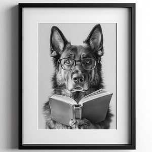 black and white photo of a german shepherd wearing glasses reading a book