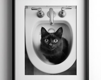 Cute Cat in Sink Black & White Photo, Bathroom Print, Cat Lover Poster Gift, Feline Pet Decor, Funny Animal Wall Art, Digital Download