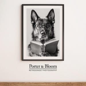 black and white photo of a german shepherd wearing glasses reading a book