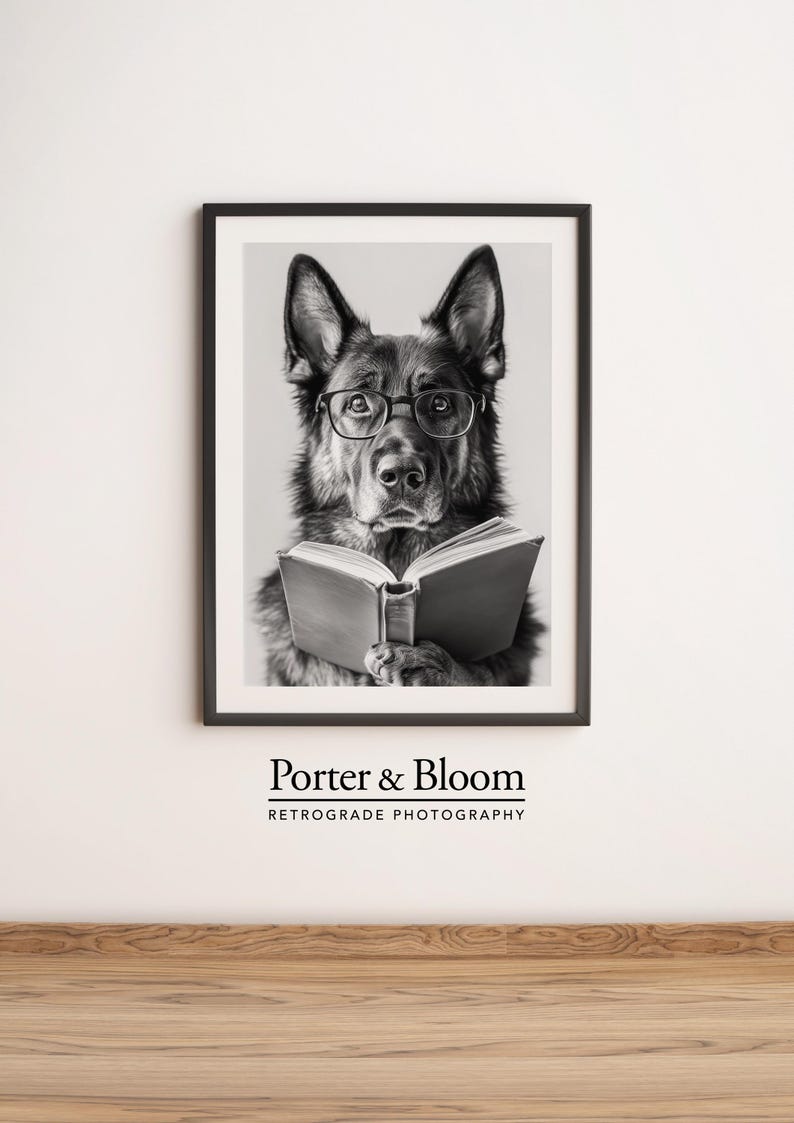 black and white photo of a german shepherd wearing glasses reading a book