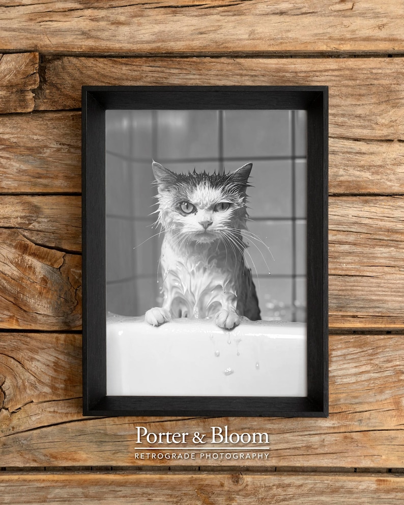 A black and white photo of an angry-looking wet cat climbing out of a bath