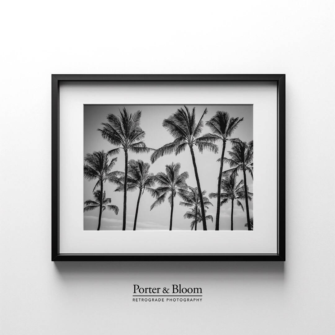 Palm Trees Black & White Photo Print, Tropical Landscape Wall Art, Fine ...