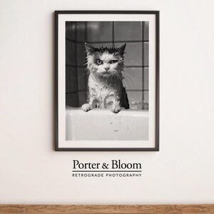 A black and white photo of an angry-looking wet cat climbing out of a bath
