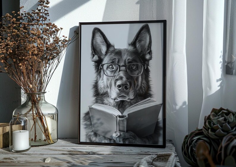 black and white photo of a german shepherd wearing glasses reading a book