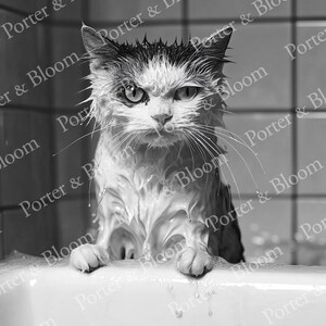 A black and white photo of an angry-looking wet cat climbing out of a bath