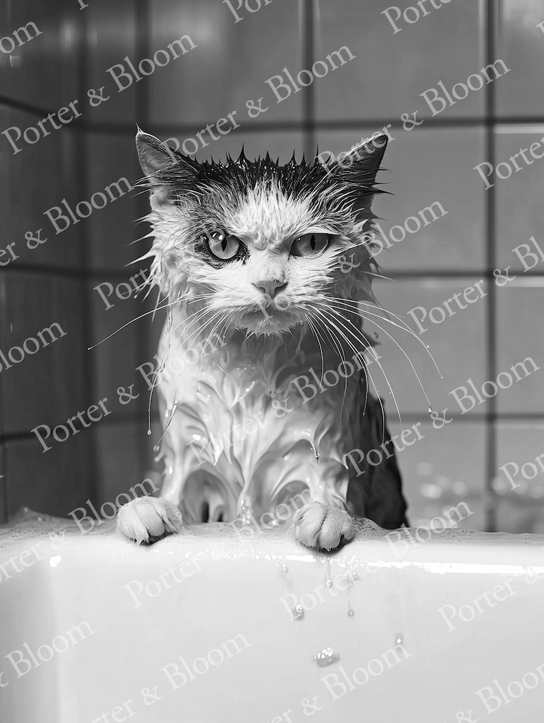 A black and white photo of an angry-looking wet cat climbing out of a bath