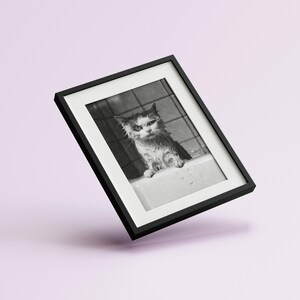 A black and white photo of an angry-looking wet cat climbing out of a bath