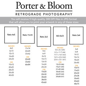May include: A chart showing different print sizes for photographs in inches and centimeters. The chart includes ratios like 4x5, 11x14, 2x3, and 3x4, as well as ISO standard sizes like 5x7. The chart is titled "Porter & Bloom Retrograde Photography".