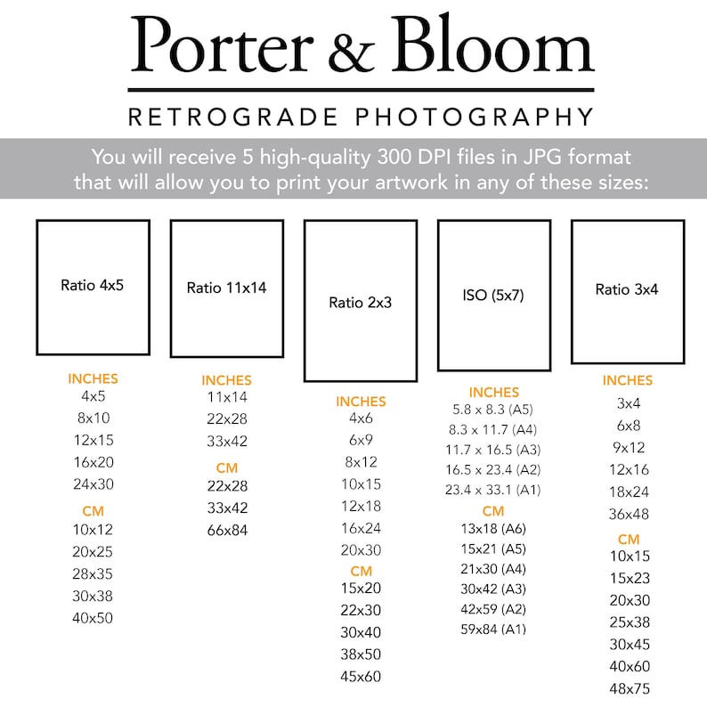 May include: A chart showing different print sizes for photographs in inches and centimeters. The chart includes ratios like 4x5, 11x14, 2x3, and 3x4, as well as ISO standard sizes like 5x7. The chart is titled "Porter & Bloom Retrograde Photography".