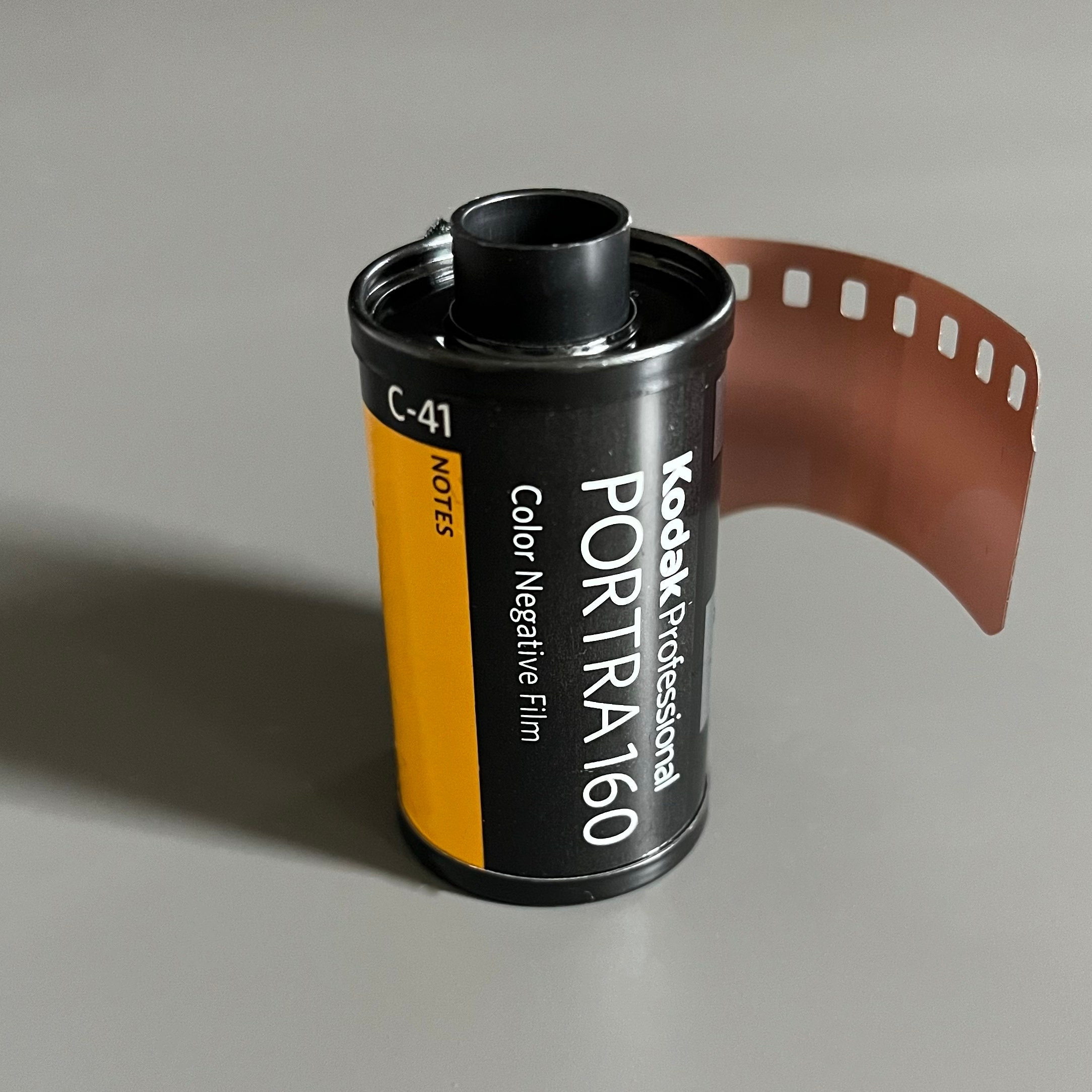 Portra 160 Kodak Film Simulation Kodak Professional Portra 160