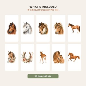 May include: A digital collection of 10 individual transparent PNG files featuring watercolor illustrations of horses. The set includes portraits of brown and white horses, a person embracing a horse, a horse with a floral crown, and a horseshoe.