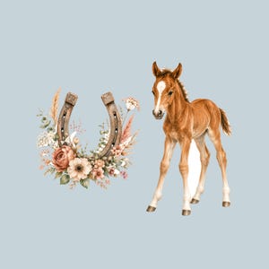 May include: A brown foal with a white blaze on its forehead standing next to a metal horseshoe decorated with a cluster of peach, cream, and brown flowers, dried grasses, and green leaves against a solid light blue background.