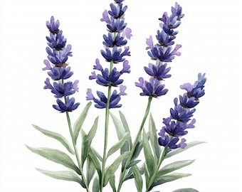 Watercolor lavender clipart set floral junk journal print digital download purple flower illustration botanical printable paper craft design