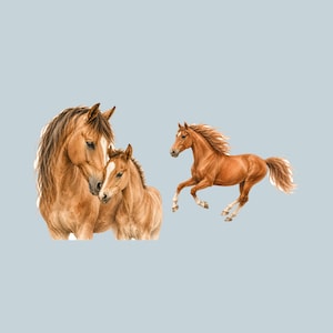 May include: A watercolor illustration featuring a chestnut mare with a white blaze on her face standing beside a young foal, and a separate chestnut horse in a dynamic running pose with a flowing mane and tail against a light blue background.