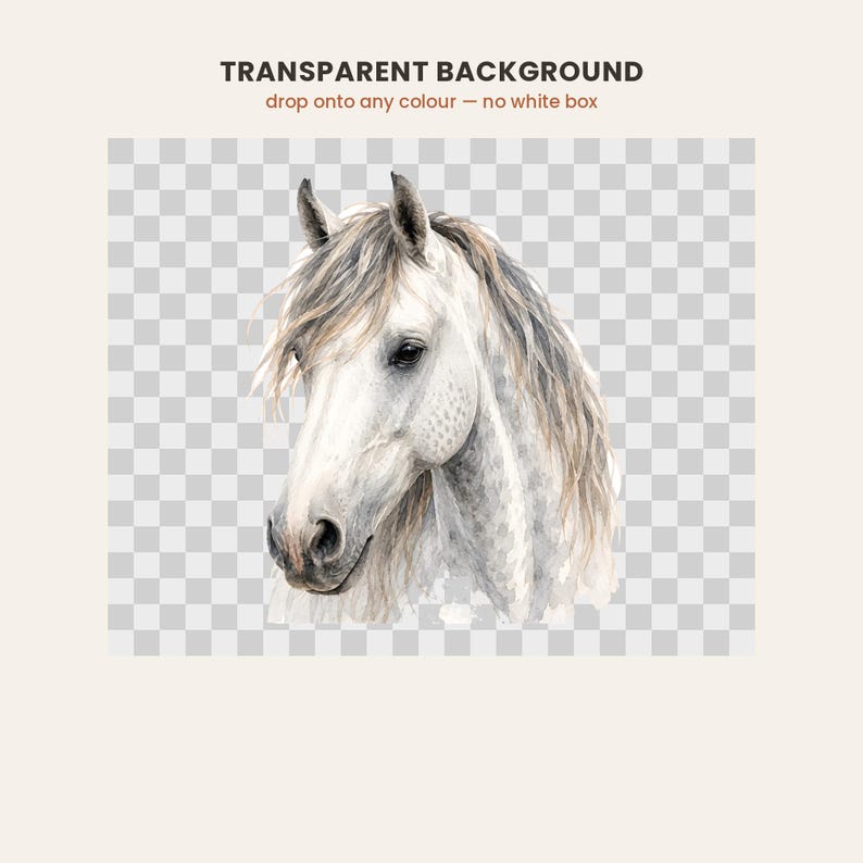 May include: A watercolor illustration of a white horse head with a grey dappled neck and a flowing mane. The artwork features soft brushstrokes and natural tones, presented on a transparent background grid with the text TRANSPARENT BACKGROUND.