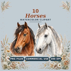 May include: A digital graphic featuring the text 10 Horses WATERCOLOR CLIPART, PNG FILES, COMMERCIAL USE, 300 DPI. Two watercolor horse heads, one brown and one white, are centered between decorative arrangements of dried wheat and wildflowers.